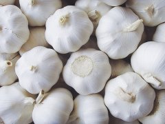 大蒜油